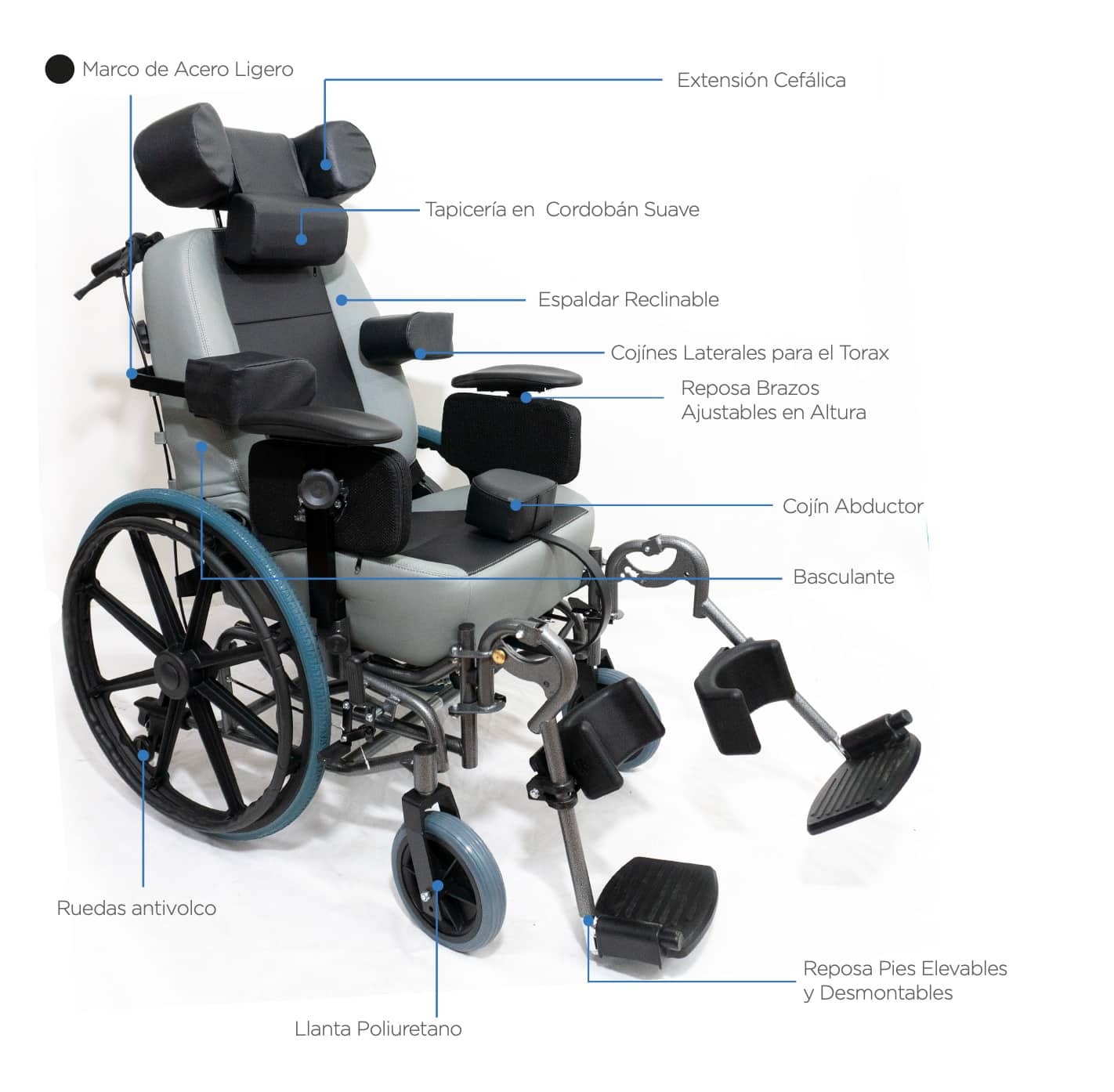 silla-Neurologica gris